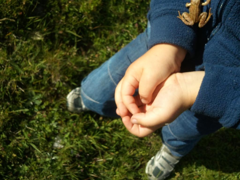 Findelkind