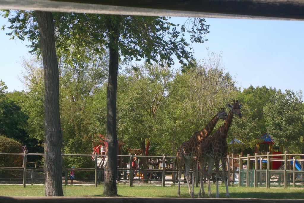 Zoo Lignano