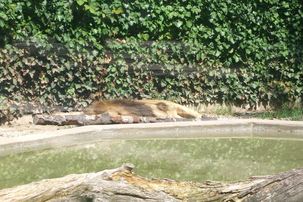 Zoo Lignano