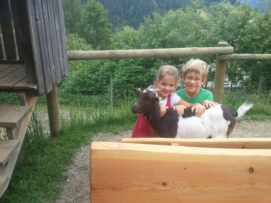Wildpark