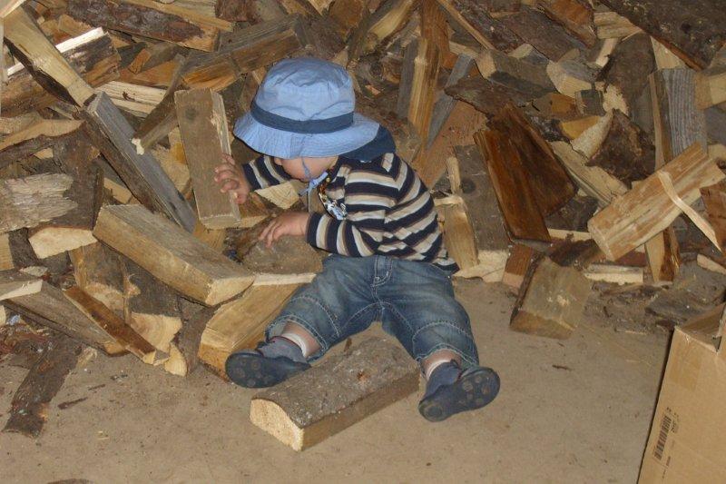 Holz