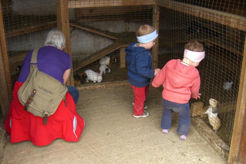 Wildpark
